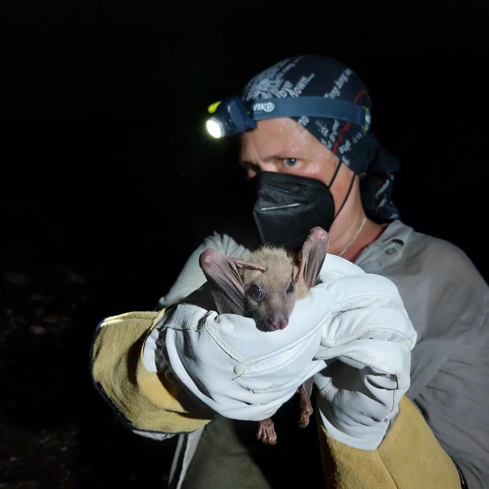 dechmannlab ⭐️ tweet media