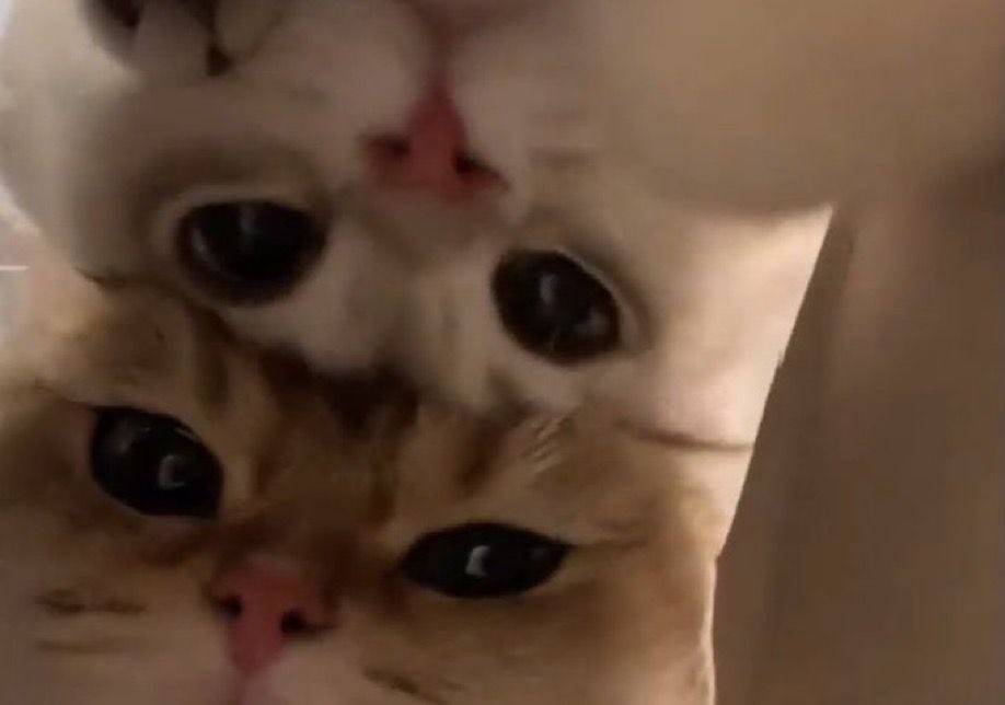 vbrvm8's tweet photo. could be us but you playin https://t.co/84NWg1xgWv