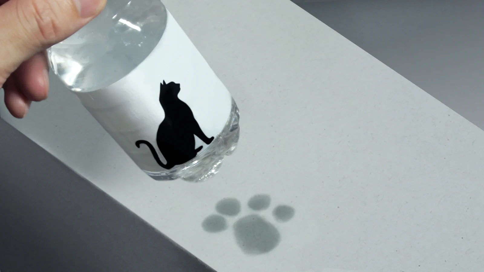猫好き必見！水滴が猫の足跡になる、「肉球ボトル」が可愛い♡