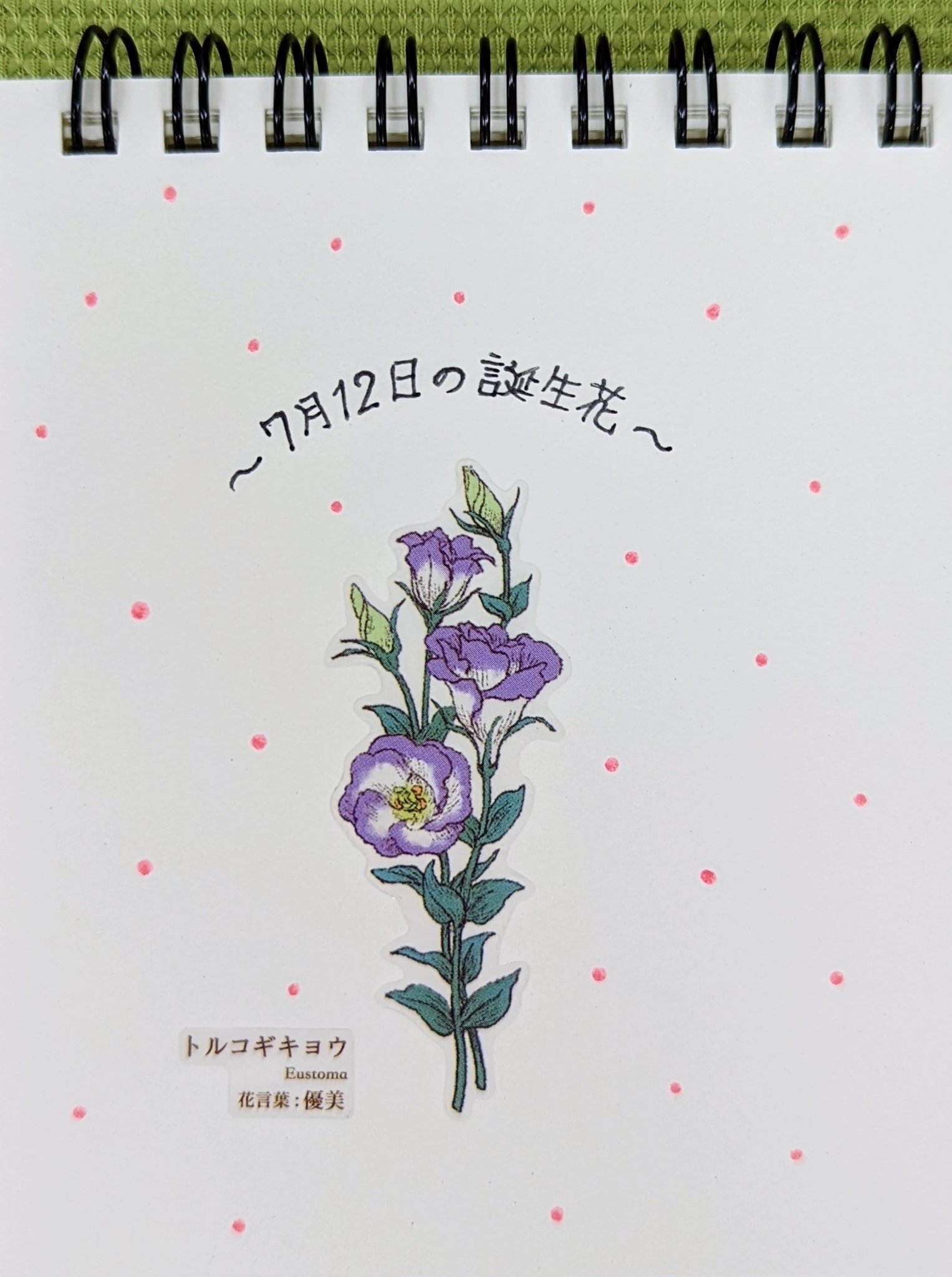 Gaia Co Ltd トルコギキョウのシールは 花言葉シールの 美 の柄に入っています 花言葉シール 花言葉 シール シール沼 Gaia沼 キャンドゥ 100均 トルコギキョウ 誕生花 花 T Co Uk1httvmtq Twitter