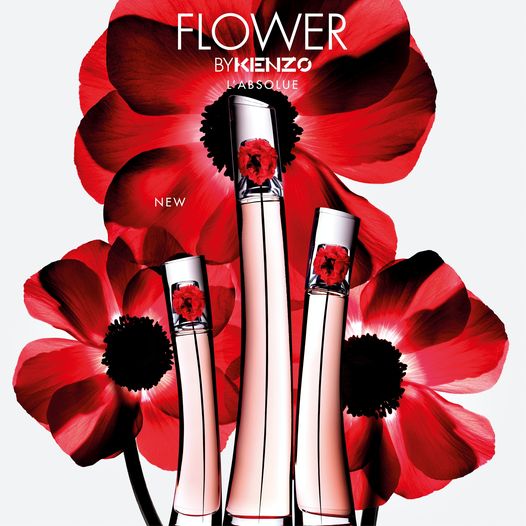 Marvimundo's tweet photo. La emblemática amapola se expande con más fuerza y da vida al nuevo lanzamiento: FLOWER BY KENZO L’ABSOLUE. Un Eau de Parfum que nos sumerge en el corazón de la flor.
#Marvimundo #Marvilovers #kenzoparfums #flowerbykenzo #flowerlabsolue https://t.co/uB97RHwAFU