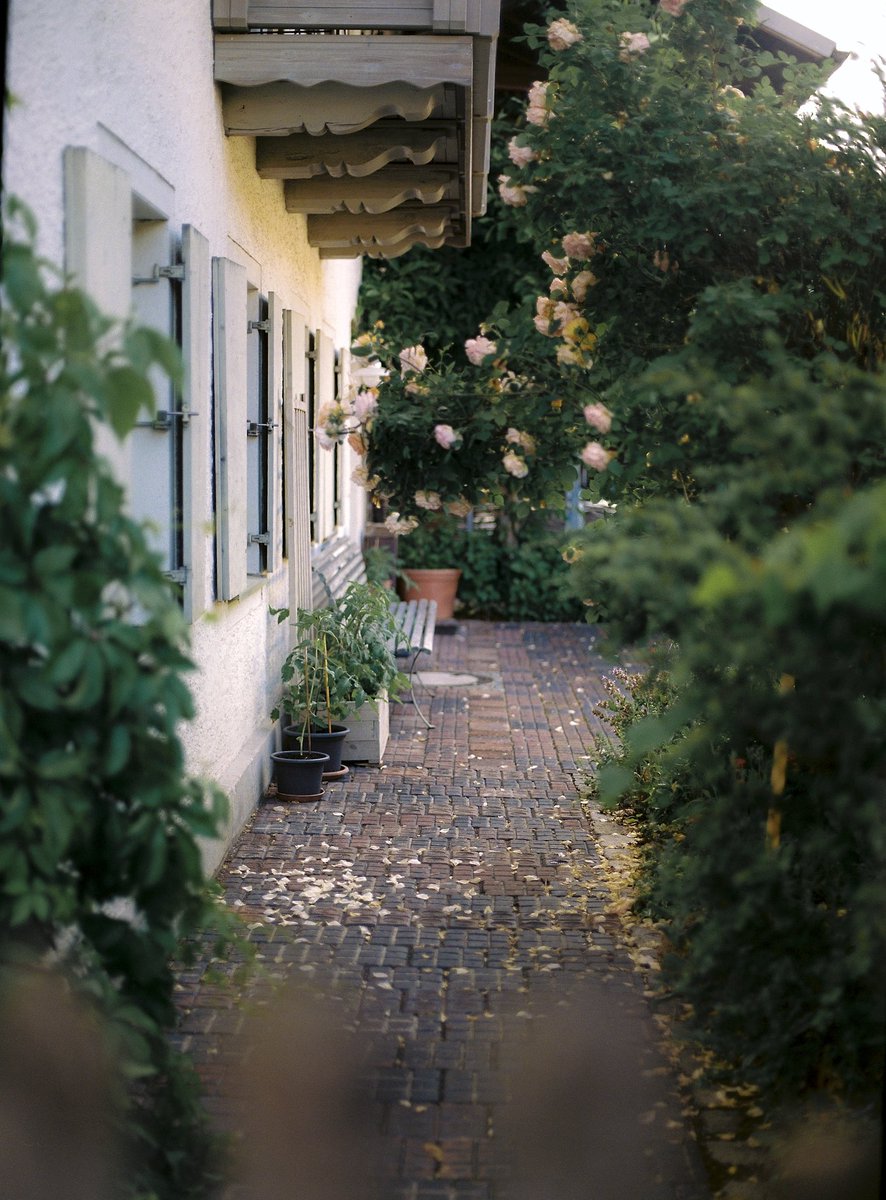 BozhkoDM's tweet photo. Decided not to go far away, but shoot in my neighborhood in Perlach area of Munich. Mamiya 645 + Poretra 400 https://t.co/xOXtrbo2oh