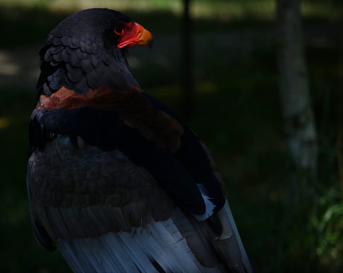 pαoℓіtα tweet media