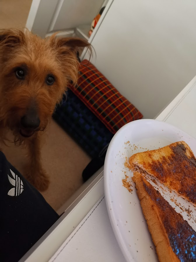 You going to finish all of that toast? Need a paw?