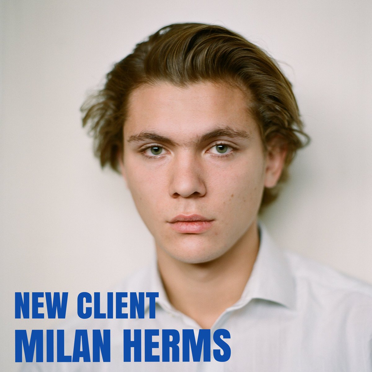 AHOI AGENCY tweet media
