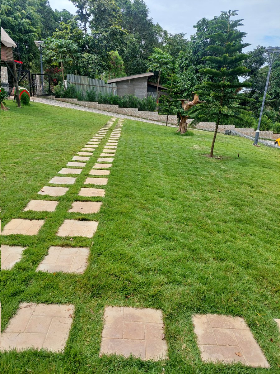 EdemKojoDoe1's tweet photo. Gardening is business by example not by opinion.
#Handiworks https://t.co/d1WhQvP6PB