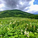 月山もも🍶#ひとり旅本 9刷のツイート画像