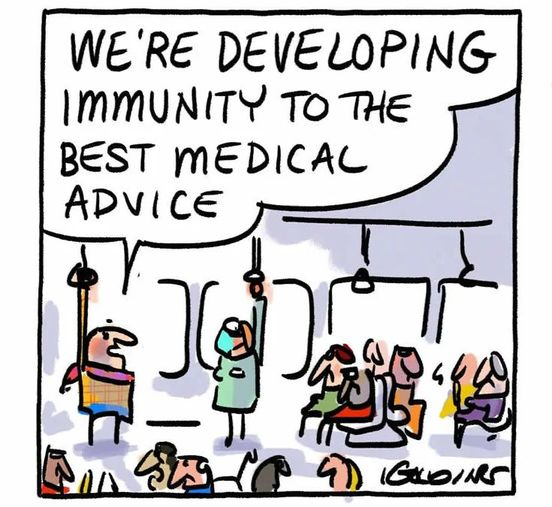 stephenjduckett's tweet image. 