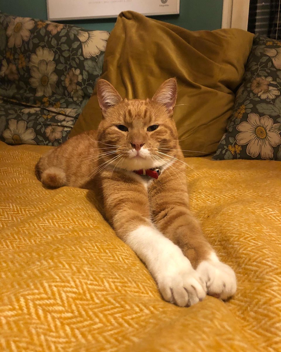 Åsa Lind 📎 tweet media