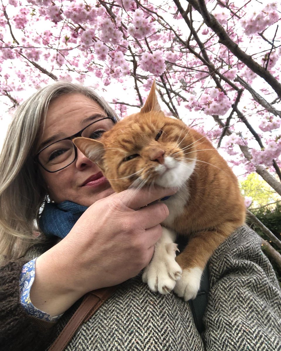 Åsa Lind 📎 tweet media