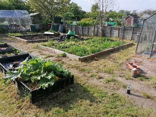 Graham Pacey tweet media