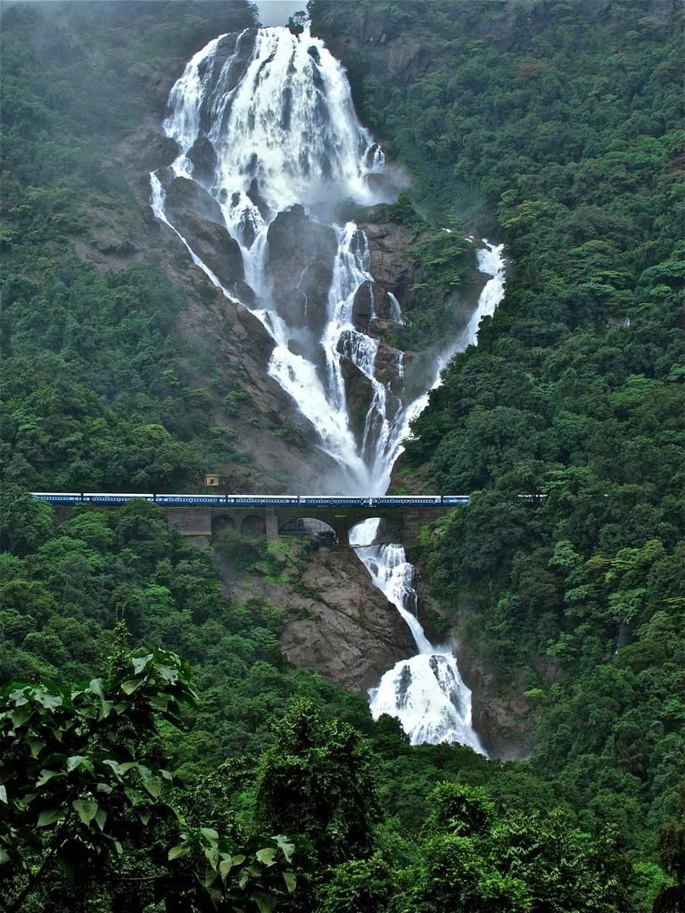 ReelTravellers's tweet photo. Dudhsagar falls in Goa
.
#TravelPhotography #PicOfTheDay #NaturePhotography #TravelBlogger #beautiful #landscape #adventure #explore #photo #travelgram #photography #travel #nature #PhotoOfTheDay #love #india #indiapictures #indian #indiaclicks #reelsindia #goa #indianblogger https://t.co/rbLZ36UYyt