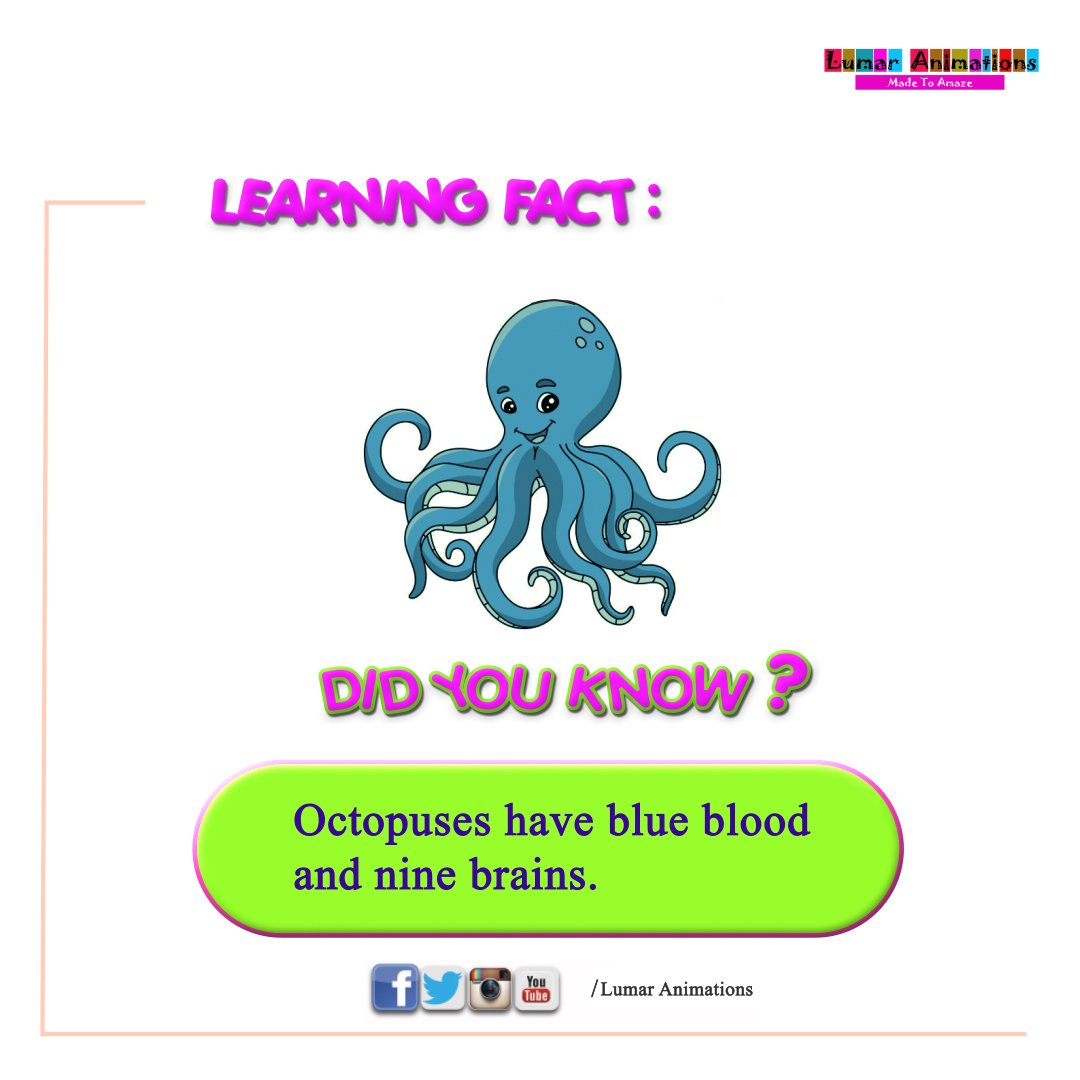lumarlearning's tweet photo. Fun learning fact:  Did you know octopuses have blue blood and nine brains?🤔

#learningfact #lumarlearning #elearning #ECD #parentingtips #kidsbooks #homeschooling #animalfacts https://t.co/aPqytl4XxS