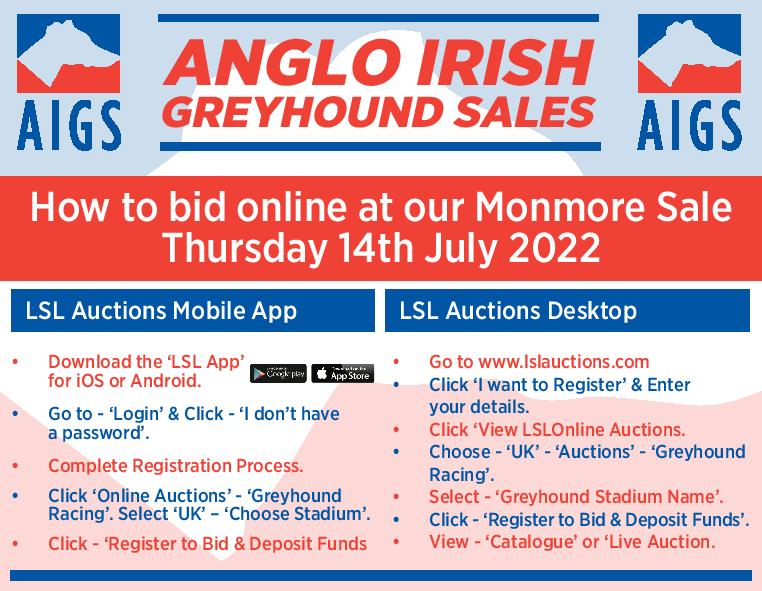 AnIrGreySale's tweet photo. Those unable to get to @Monmoredogs for our sale on Thursday can watch the action and bid remotely at @LivestockLive1. Details 👇👇 You can download the catalogue at https://t.co/0mHzDlPR3n https://t.co/nEBMtsKCmV