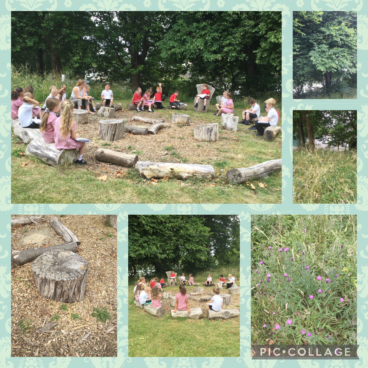 Carole Cavanagh tweet media