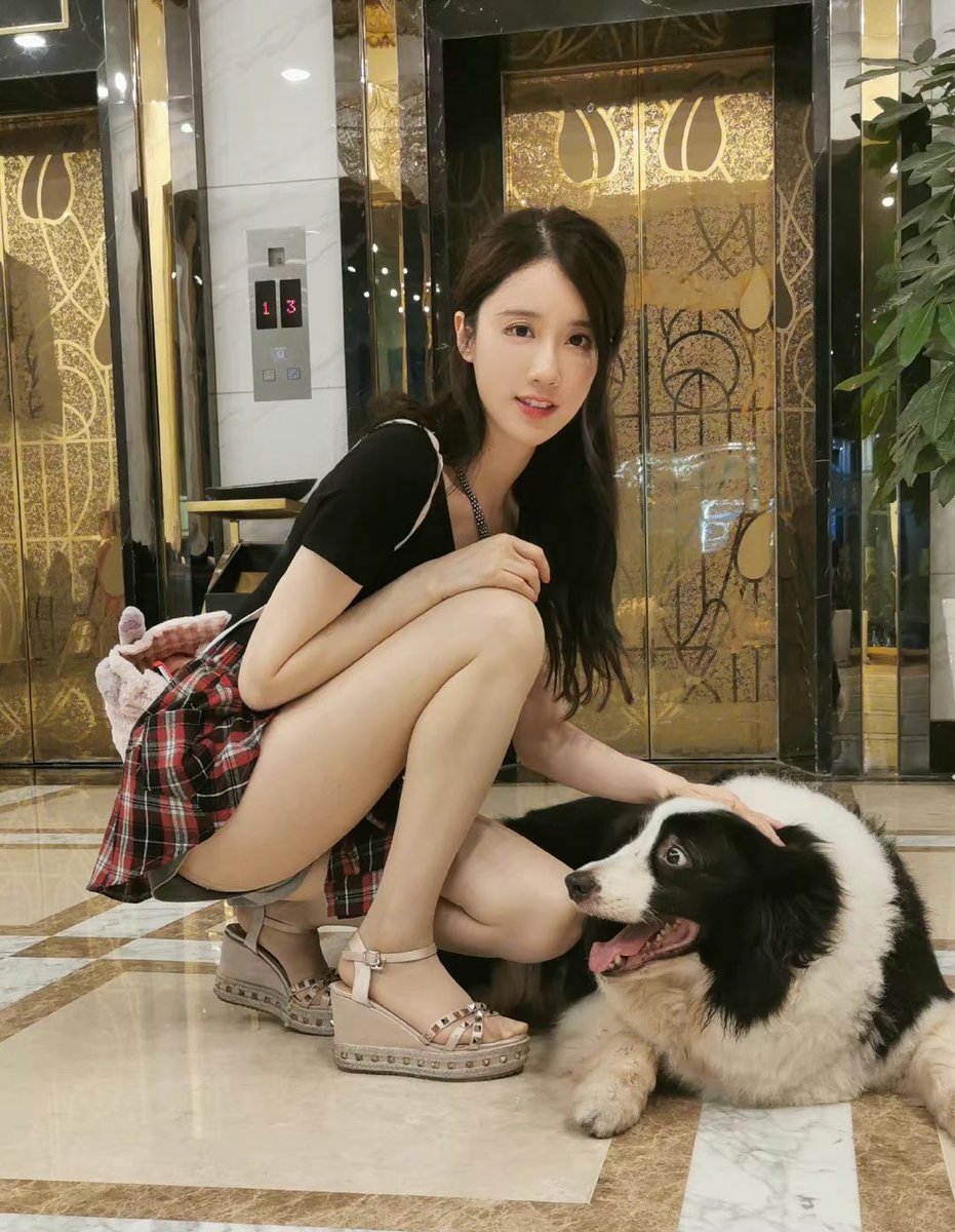 JaneAirLi's tweet photo. Lovely dog.#AmazonPrimeDay https://t.co/Yddi11H1T9