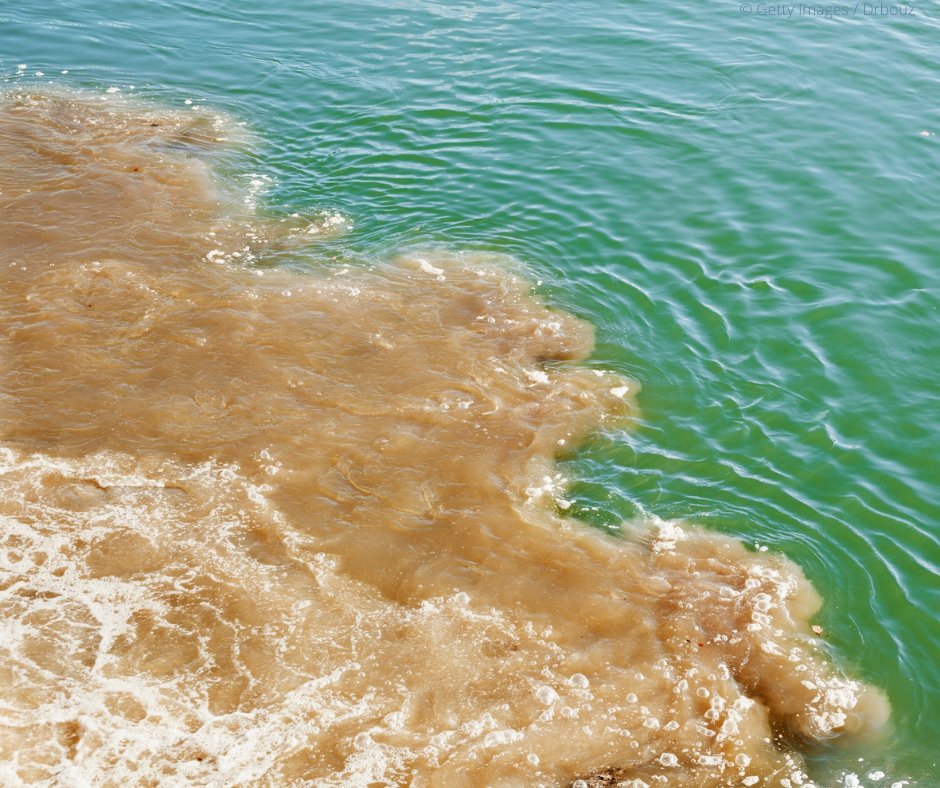 EU_ENV's tweet photo. Pollution affects our health and 🌍

The 🇪🇺 Environmental Liability Directive helps prevent and fully repair ecological damage based on the #PolluterPays principle

Is the Directive is fit for our #ZeroPollution ambition? 

#EUHaveYourSay by 4 August: https://t.co/swjXeX3hIr https://t.co/g0rht7U3n5