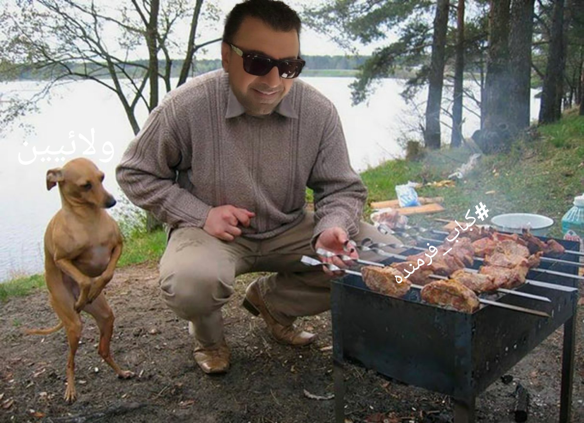 Приколы про шашлыки на природе