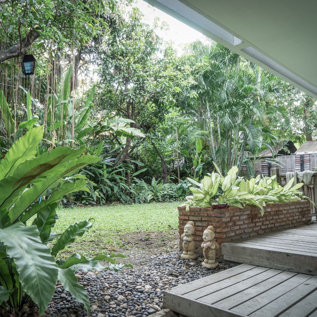 MumsDelivery's tweet image. If you’re looking to get a bug zapper, a solar one is a good choice. In the long run it’ll be saving you money, and it’s quite a nifty gadget to have.

#bugzapper #zapinsects #bugzapperlantern #zappingbugs #solarbugzapper 

mumsdelivery.com.au/how-good-are-s…