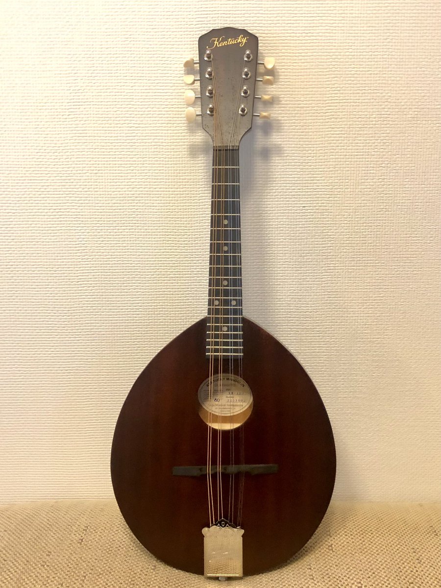 Kentucky KM-120というGibsonアーミーネイビータイプを購入！メインで