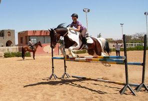 mareopausal's tweet image. Would you like to improve all aspects of your riding? Regardless of your level, or your discipline? Book a FREE Strategy Session to find out how.  #riding #biomechanics #freelancecoach #onlinecoaching 
bit.ly/3AGN2QS