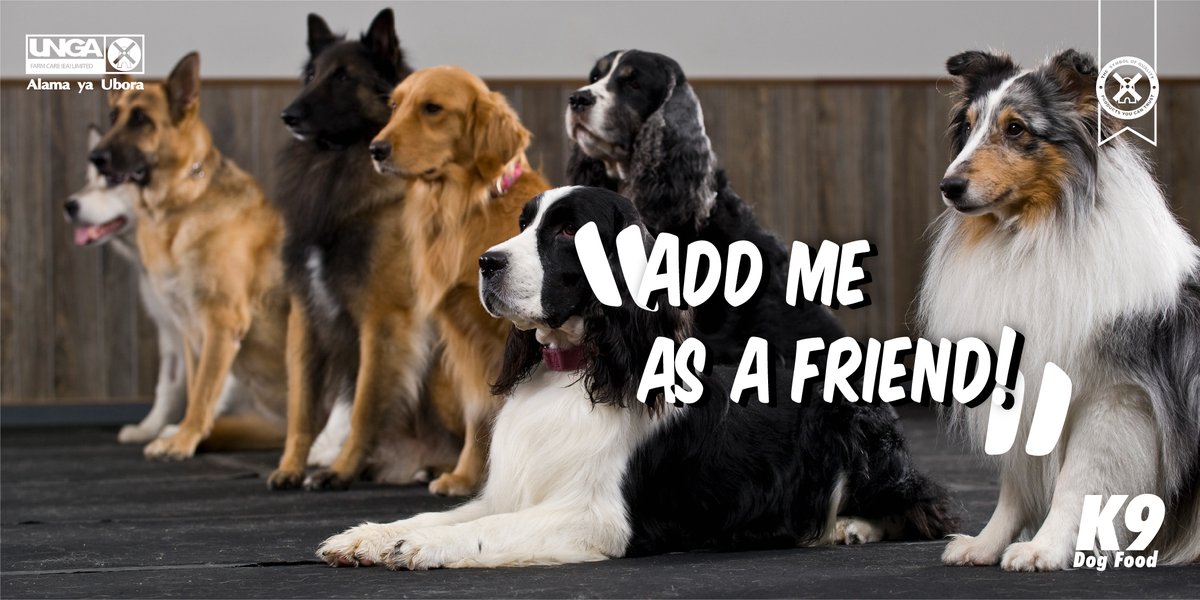 Some local communities have dog socialising meetups. Ask your vet or social circles about one. It might be a good fit for you and your furry friend. 
#K9DogFood #ABowlfulOfStrength