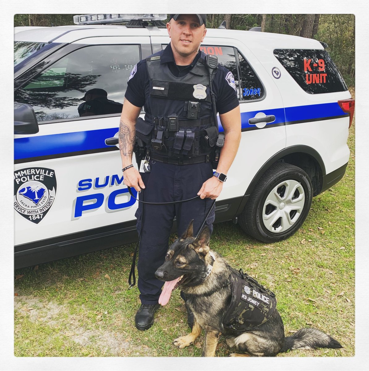 PawsOfHonorK9s's tweet photo. #tongueouttuesday with K9 Joney!
#pawsofhonor #twoheroesoneleash #jointhepack #onemission #veterinary #veterinarycare #workingdogs #retiredK9 #nonprofit #k9life #gsd #gsdofinstagram https://t.co/Bw8V7xRNPh