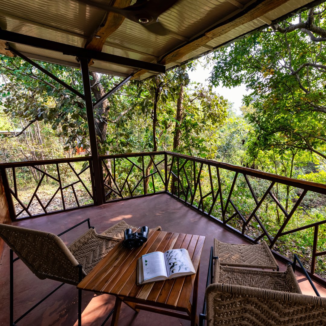 fabgetaways's tweet photo. Kanha Jungle Camp, Madhya Pradesh 🐅 | 2 Nights starting at ₹18,599 for 2 Adults with taxes

Grab this deal at an exclusive price only at #FABgetaways
https://t.co/xFBCd9JuCL

#FABgetaways #kanhajunglecamp #JungleFever #Camping #adventure #MadhyaPradesh #wildlife #kanhajungle https://t.co/EJoRWxrJR0