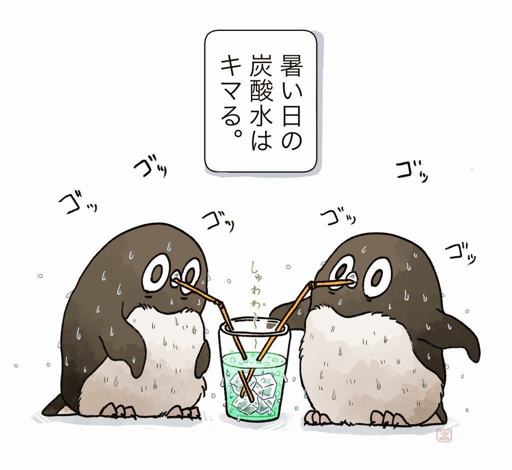 【ゴッゴッ】
炭酸水を飲んでキマるアデリーペンギン。暑い日は5倍ぐらいおいしい!🥤
#アデリーペンギン 