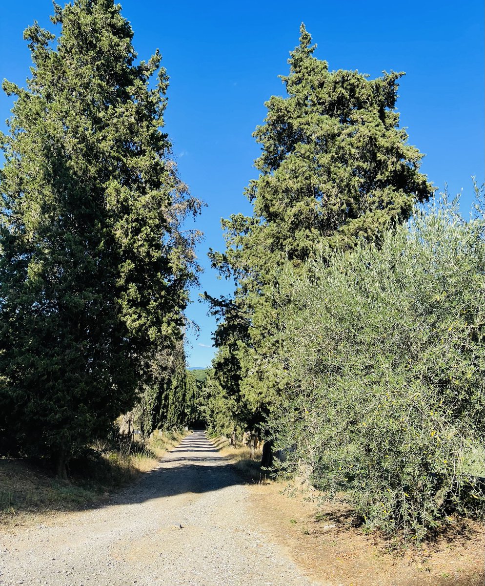 JoseHermens's tweet photo. Zo dat was het dan: na 20 jaar Natuurmonumenten ga ik definitief het roer omgooien! Ik sla een nieuwe weg in en wel in het mooie Toscane 🇮🇹, in de Valdarno, waar ik samen met mijn man een B&B run. Benieuwd? https://t.co/652bW06Zp3 @Natuurmonument #tocane https://t.co/AkKPAQtZT1
