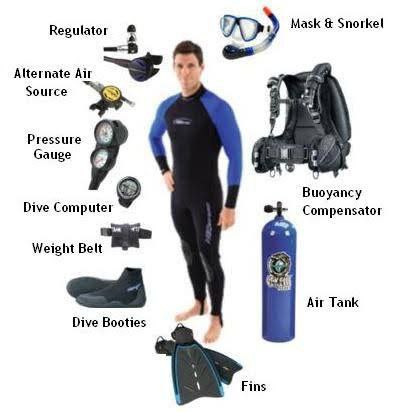 FLAME26608569's tweet photo. Important things for you to be carried during exam
#NEETUG2022 #NEETUG #NEET2022admitcard #NEETUGAdmitCard #NEET #neetpostpone2022 #NEETUG2022Aspirants #neetpostpone https://t.co/MGTSIiPteE