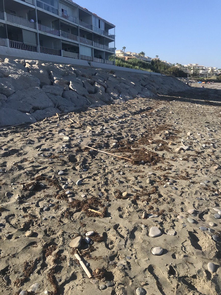 Alvaro97Alvaro's tweet photo. @JMGarciaUrbano @AytoEstepona Podría emplear un poco de esfuerzo en limpiar la zona de playa de la urb. Buenas Noches. Y no le hablo de la mencionada alga invasora, sino de multitud de piedras y cañas que hacen difícil el disfrute de esta parte de la costa.
Y para dicho esfuerzo, no necesito ningún permiso. https://t.co/DL0VLq80T3