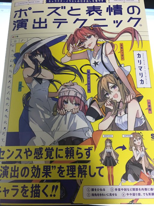 選挙の帰りにふらっと寄って買った本
ポーズと表情の演出のテクニック
人体デッサンやパースもだけどこれも大事だよね、って言うところを突いてくるあるようでなかった本、な気がする、かなり良い… 