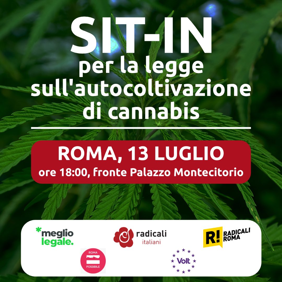 Radicali Roma tweet media