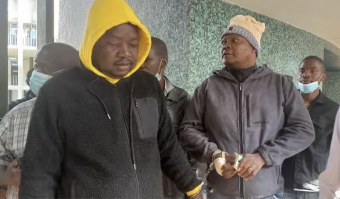 Hopewell Chin’ono tweet media