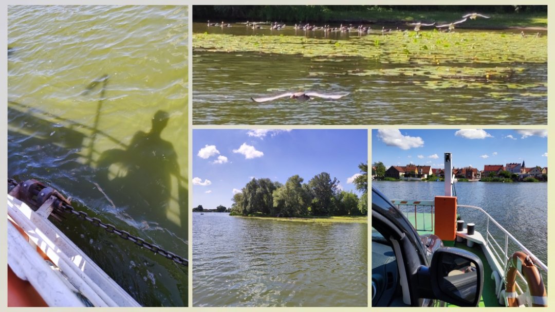 MMellchen's tweet photo. Short visit to my parents in their bungalow! ☀️ The small village can be reached by a #ChainFerry. The trip across the river is always a little relaxing break! 🥰 I wish you all a nice Tuesday! 🤗 https://t.co/LCfjbgdvV8