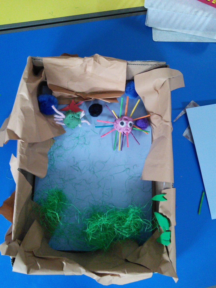 MrsRyans_class's tweet photo. What can you see in our rock pools? https://t.co/L9K3kCnFjD