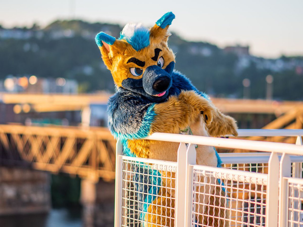 Spunky Shep tweet media