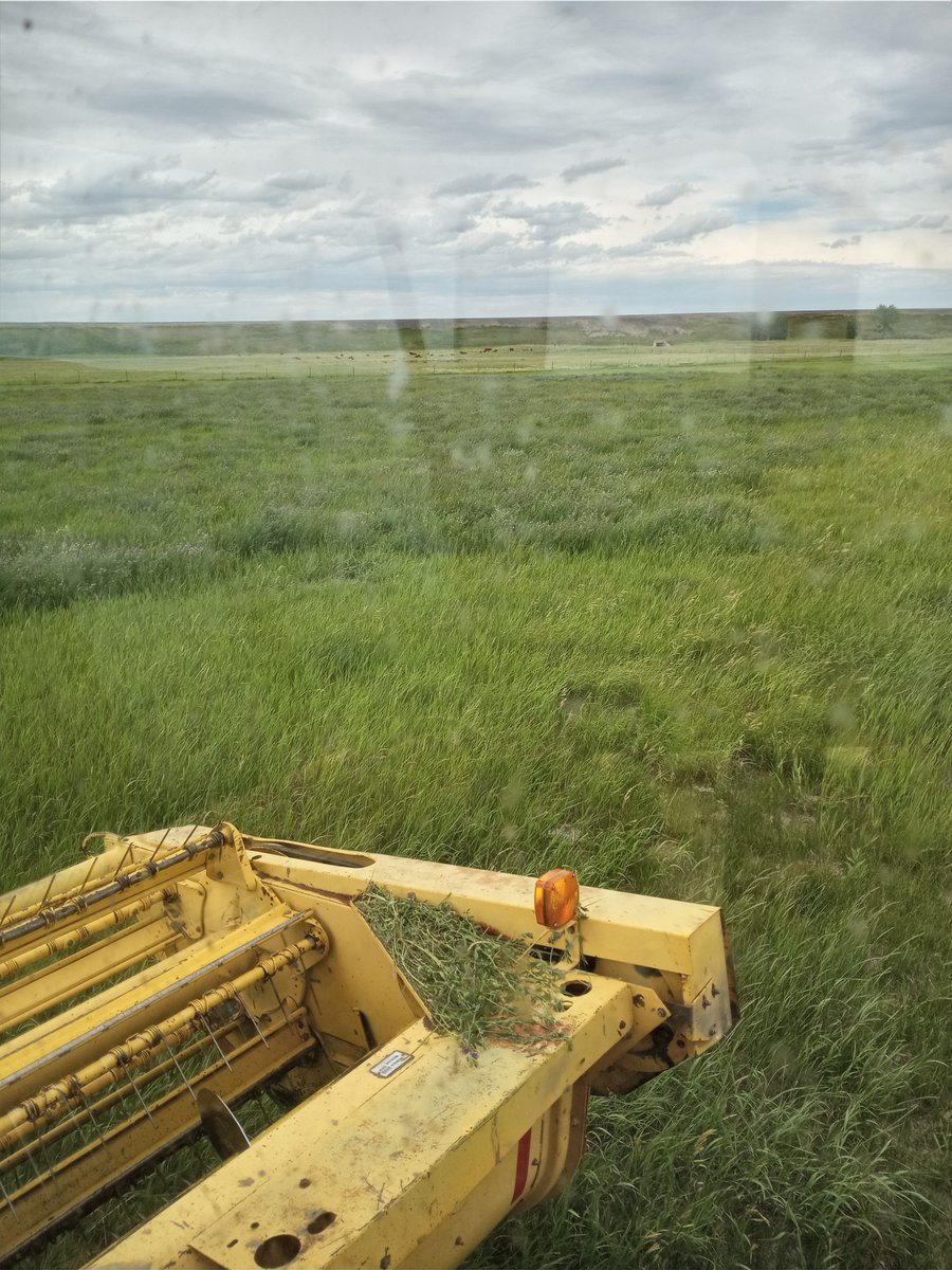 dlhevans's tweet photo. My office for a few days. All fun and games until you drop a wheel in a goddamn badger hole. #judithbasin #swatherbitch https://t.co/Huu39cYdWd