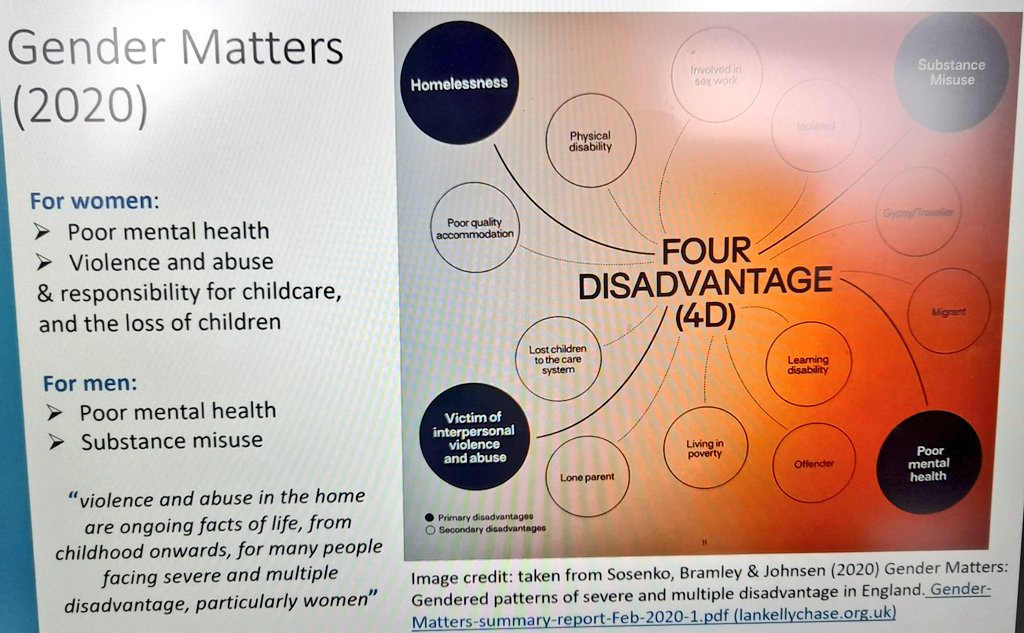 MultipleWomen's tweet photo. Our @FCMc97 discusses the underpinning research for a #GenderInformed approach related to #Women with experiences of #MultipleDisadvantages and #Homelessness  @chadresearchuk @ExpertCitizens https://t.co/nOAgBi5X6b