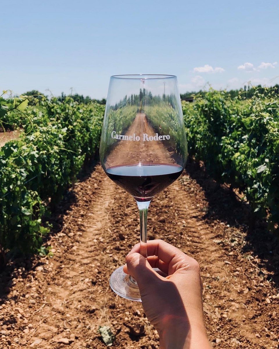 Discover our Bodegas Carmelo Rodero, #RiberaDelDuero ‘Pago de Valtarrena’

advinture.co.uk/product/bodega…

📸 <a href="/bodegasrodero/">Bodegas Carmelo Rodero</a> 

#wine #spanishwine #redwine #tempranillo #vineyard #winetime #wineoclock #winetasting #winelover #sommelier #wineshop #wineonline #advinturewines #advinture