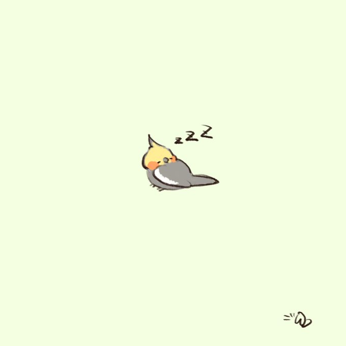 オカメインコ 高画質 のtwitterイラスト検索結果