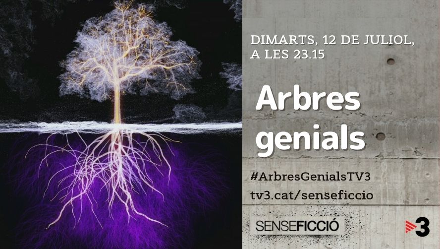 senseficcio's tweet photo. ⌛️I d'aquí uns minuts, a @tv3cat 

"Arbres genials" @INRAE_France @Francetele

🌳Hipersensibles i ultraconnectats entre si, els arbres interactuen constantment amb el seu entorn. Són un model de resistència, equilibri energètic i gestió de recursos 

🔗https://t.co/wwVYgM6TbH https://t.co/vkG4bnk99M