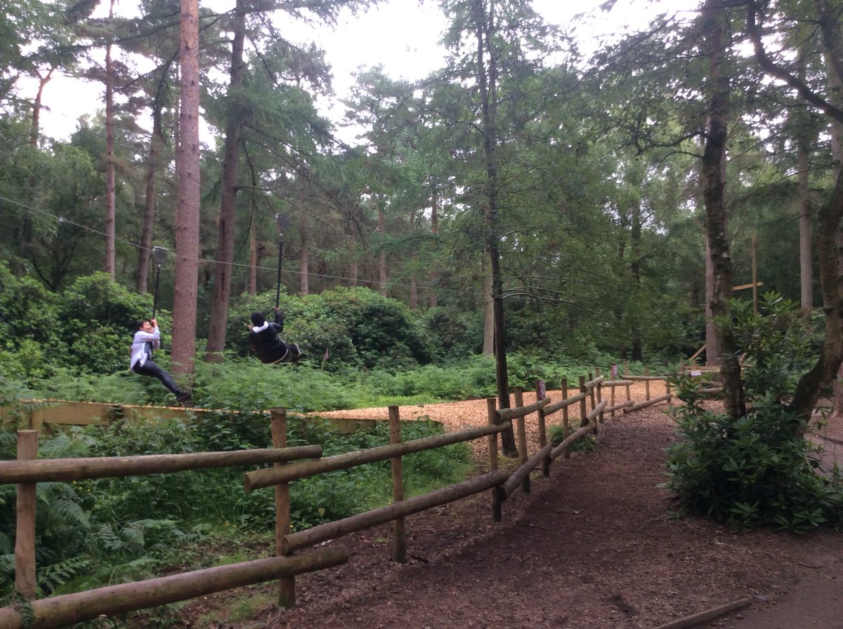 KingsleyLpool's tweet photo. We loved the wobbly wires! #Class6P @BeWILDerwoodCHR https://t.co/i0re8decx4