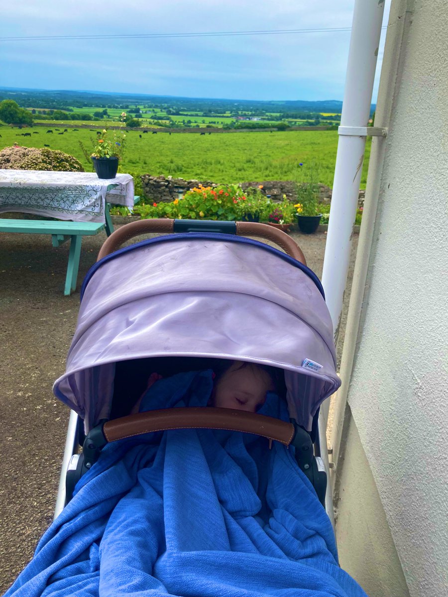 EleanorSfarmerE's tweet photo. Naps with a Tipperary view are the best #tipperary #itsalongway 💙💛 https://t.co/x9dIgWt0b9