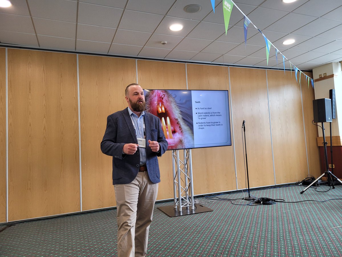 Fantastic seminar from John Horsley of 
<a href="/britpestcontrol/">British Pest Control Association (BPCA)</a> of rats, their characteristics and how they can impact on the human population as part of our <a href="/aiimiltd/">Aiimi</a> sponsored RatOut hack <a href="/NorthumbrianH2O/">Northumbrian Water</a> #innovationfestival2022. Plenty to get our teeth into!