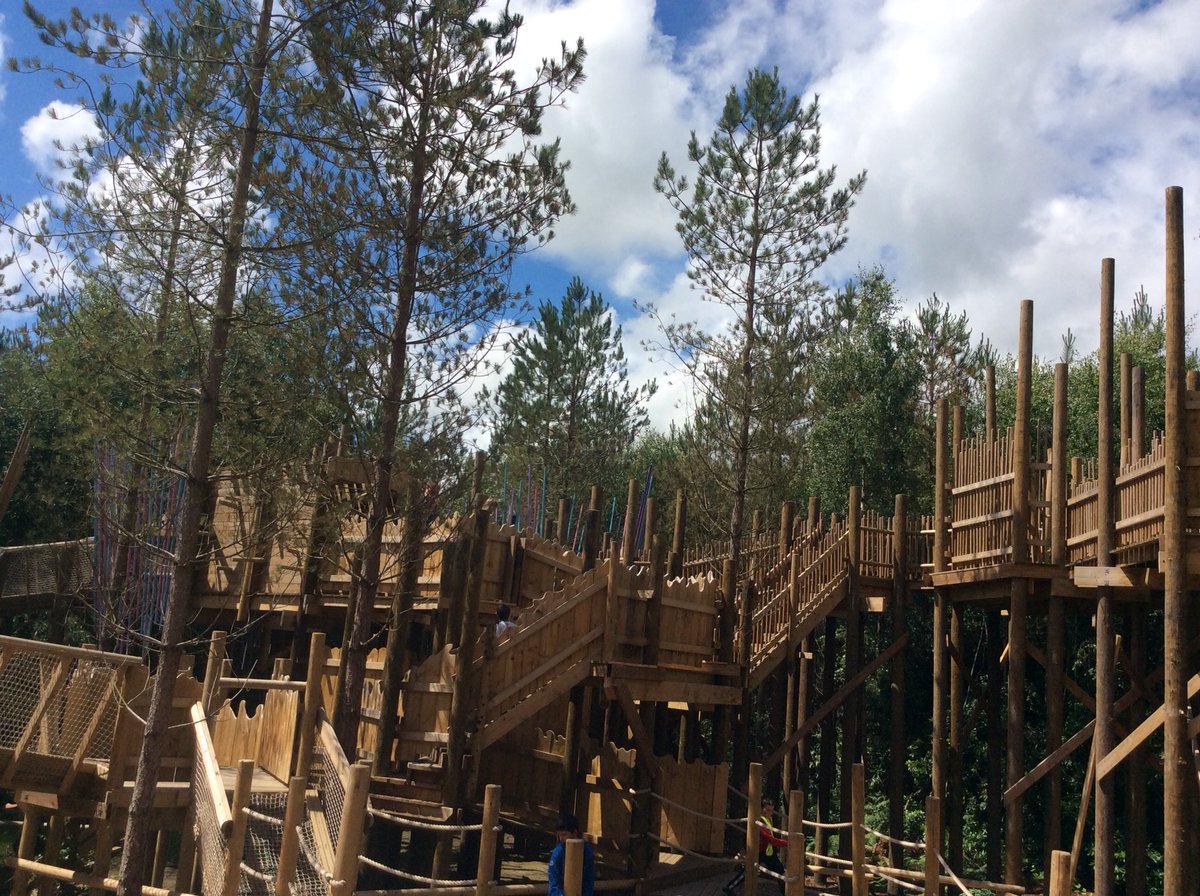 KingsleyLpool's tweet photo. #Class6P never wanted to leave the towering treetop tangles @BeWILDerwoodCHR https://t.co/OPsJS46GvC