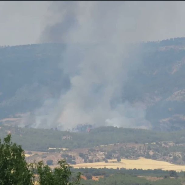 David_AS1979's tweet photo. Complejo episodio de simultaneidad de 🔥🔥🔥 durante la tarde de ayer en la provincia de #Cuenca
Continúa la ola de calor; toda precaución es poca en el medio natural. Si ves humo llama al 112.
🔥 #IFCastejón
🔥 #IFBascuñanadeSanPedro
🔥 #IFNarboneta
#PlanInfocam https://t.co/50Zl3w2I5w