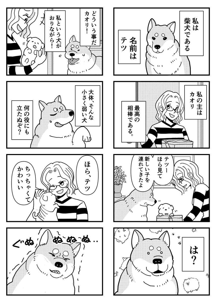 「先住犬が新入りの犬に嫉妬する話」1/2 