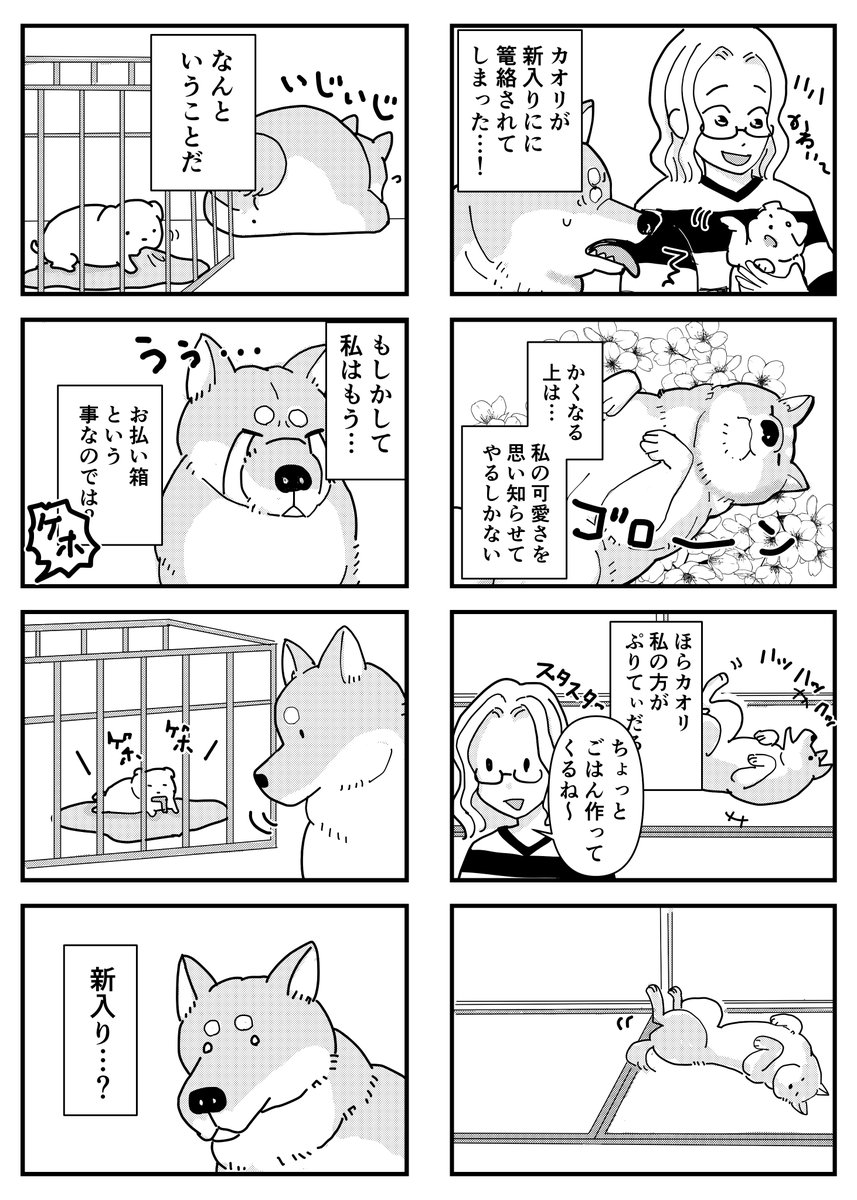 「先住犬が新入りの犬に嫉妬する話」1/2 